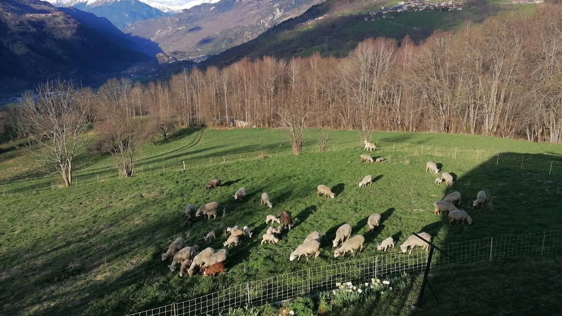 Les Marm'Hotes La Cote-d'Aime 0*,