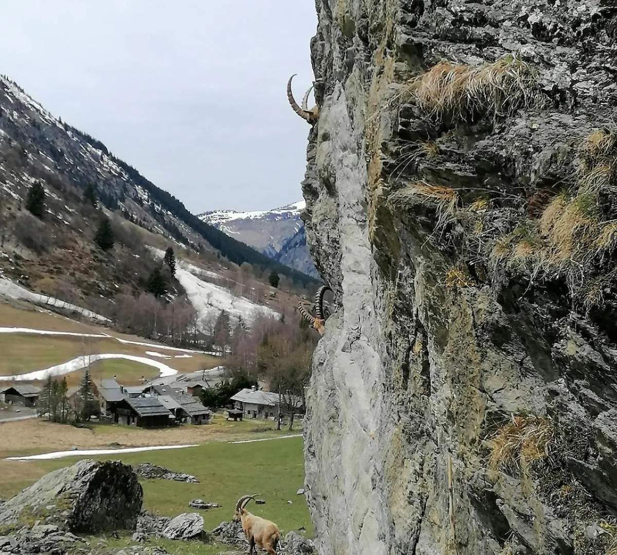 Apartmán Les Marm'Hotes La Côte-dʼAime Francie